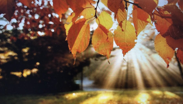 Willkommen zurück nach der Herbstferienpause! 